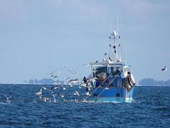 156 ILE DE HOEDIC_000051